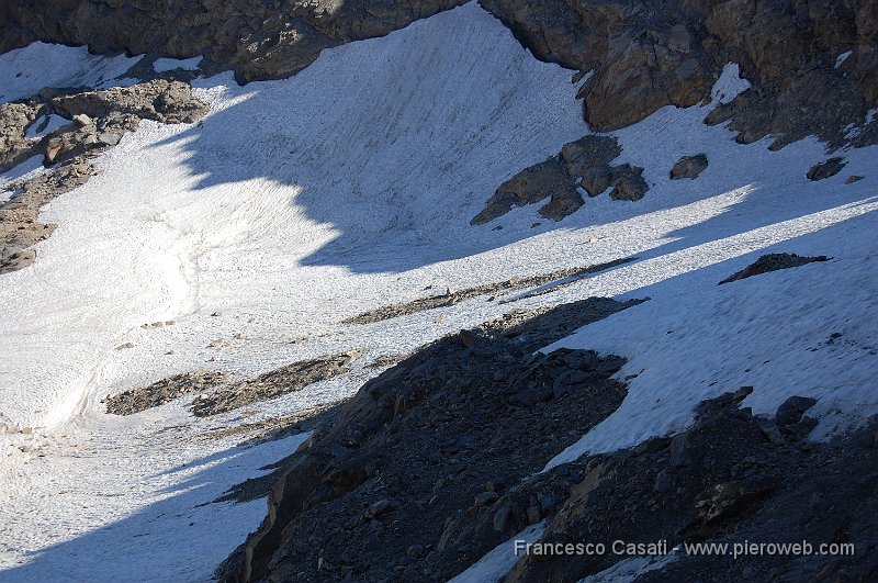 29-Camosci corrono sul Nevaio.jpg